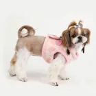 Business 2 image BURDER FILMS Tv in Bournemouth Do