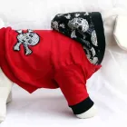 Business 3 image BURDER FILMS Tv in Bournemouth Do