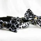 Business 4 image BURDER FILMS Tv in Bournemouth Do