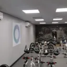 Business 5 image BUZZMEAL Business & Professional Services in Harlow Es