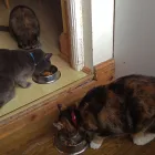 Business 4 image CACHUMBA CAFE Speciality Restaurants in Manchester La