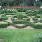 Business 9 image CALA GARDEN MAINTENANCE Home & Garden in Walton-On-Thames Su
