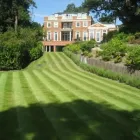Business 11 image CALA GARDEN MAINTENANCE Home & Garden in Walton-On-Thames Su
