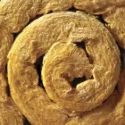 Business 18 image CARDS OF MUSIC.COM Wedding Stationery in Glasgow La