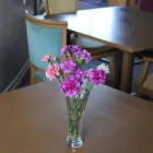 Business 4 image CARNARVON HOUSE Residential, Retirement & Care Homes in Nottingham No