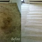 Business 4 image CARPET BRIGHT UK - LONDON Steam Cleaning in London Gr