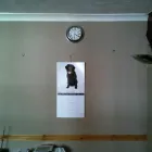 Business 26 image CB JOINERY UK LTD Carpenters & Joiners in Stockport Ch