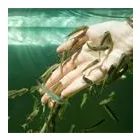 Business 13 image CE INSTRUMENTS LTD Laboratory Facilities & Services in Wigan La