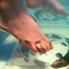 Business 1 image CE INSTRUMENTS LTD Laboratory Facilities & Services in Wigan La