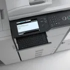 Business 12 image CEDAR CARE, STATION SIDINGS Woodworm & Dry Rot Control in Harrow Mi