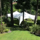 Business 5 image CELEBRATE IN STYLE Shopping & Retail in Alresford Ha