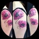 Business 10 image CHAMELEON TATTOO Tattooists in Paisley Re