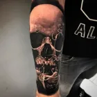Business 11 image CHAMELEON TATTOO Tattoo Removal Service in Paisley Re