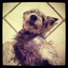 Business 2 image CHANDNI Caterers in London Gr