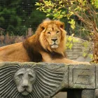 Business 3 image CHESSINGTON WORLD OF ADVENTURES RESORT Travel & Tourism in Chessington Su