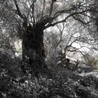 Business 29 image CHEVRON AIR HOLIDAYS Travel & Tourism in Windsor Be