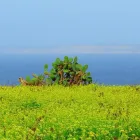 Business 35 image CHEVRON AIR HOLIDAYS Travel & Tourism in Windsor Be