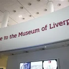 Business 27 image CHRIS BENSON SIGNS LTD Sign Makers in Liverpool Me