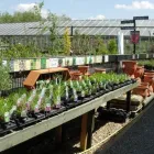 Business 8 image CLEARVIEW Garage Services in Newbury Be