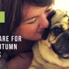 Business 4 image CLOUD 9 VETS Veterinary Services in Wigan La