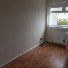 Business 79 image CLYDE DECOR Wallpapers & Wallcoverings in Port Glasgow Re