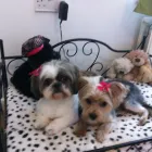 Business 4 image CNUK TV Tv in Coventry We