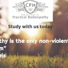 Business 1 image COLLEGE OF PRACTICAL HOMEOPATHY Homeopaths in London Gr