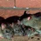 Business 1 image COLLEGE RESTAURANT Mediterranean Restaurants in Glasgow La