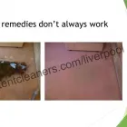 Business 9 image COMPETENT CLEANERS LIVERPOOL Upholstery Cleaners in Liverpool Me