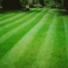 Business 5 image COUNTRY GARDENERS PENARTH (STUART PALMER) Tree Services in Penarth So