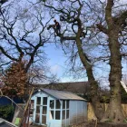 Business 8 image COUNTY TREE SERVICES Tree Services in Barry So