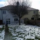 Business 17 image COUNTY TREE SERVICES Tree Services in Barry So