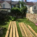 Business 18 image COUNTY TREE SERVICES Tree Services in Barry So