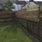 Business 19 image COUNTY TREE SERVICES Tree Services in Barry So