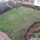 Business 26 image COUNTY TREE SERVICES Tree Services in Barry So