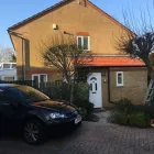 Business 41 image COUNTY TREE SERVICES Tree Services in Barry So