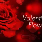 Business 20 image CREAM AND BROWNS FLORIST Wedding Services in Middlesbrough Cl