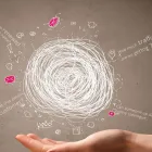 Business 4 image CREATIVE INSOMNIA Web Developers in Cardiff Crf