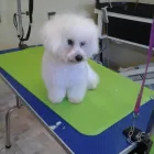 Business 9 image CURVES FOR WOMEN Health Clubs in Aberdeen Ab