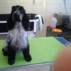 Business 2 image CURVES FOR WOMEN Health Clubs in Aberdeen Ab