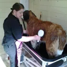 Business 1 image CURVES FOR WOMEN Health Clubs in Aberdeen Ab