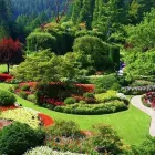 Business 1 image CUSTOM DESIGN INTERIORS Kitchen Planning & Installation in Nottingham No