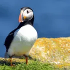 Business 2 image D&G TRAVEL OF MARLOW Travel Agents in High Wycombe Bu