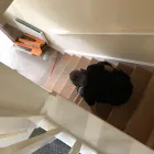 Business 11 image D W SIBLEY CARPETS Home & Garden in LEAMINGTON SPA Wa