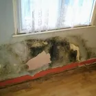 Business 1 image DAMP PROOFING SPECIALISTS Plasterers, Screeders & Dry Lining Contractors in IPSWICH Su