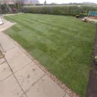 Business 8 image DANIEL & SON GARDENING, FENCES AND LANDESCAPING SERVICES Lawn Care Services in Bedford Be