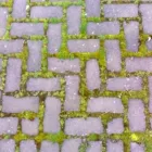 Business 10 image DAPPER GROUND MAINTENANCE LTD Landscapers in Glasgow Glg