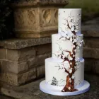 Business 8 image DEBBIE GILLESPIE CAKE DESIGN Wedding Services in Huddersfield We