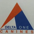 Business 2 image DELTA  ONE CANINES Pets & Animals in Coventry We