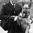 Business 12 image DELTA  ONE CANINES Pets & Animals in Coventry We